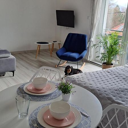 Apartamenty Bujaki Ustron Bagian luar foto