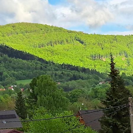 Apartamenty Bujaki Ustron Bagian luar foto