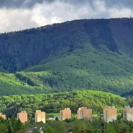 Apartamenty Bujaki Ustron Bagian luar foto